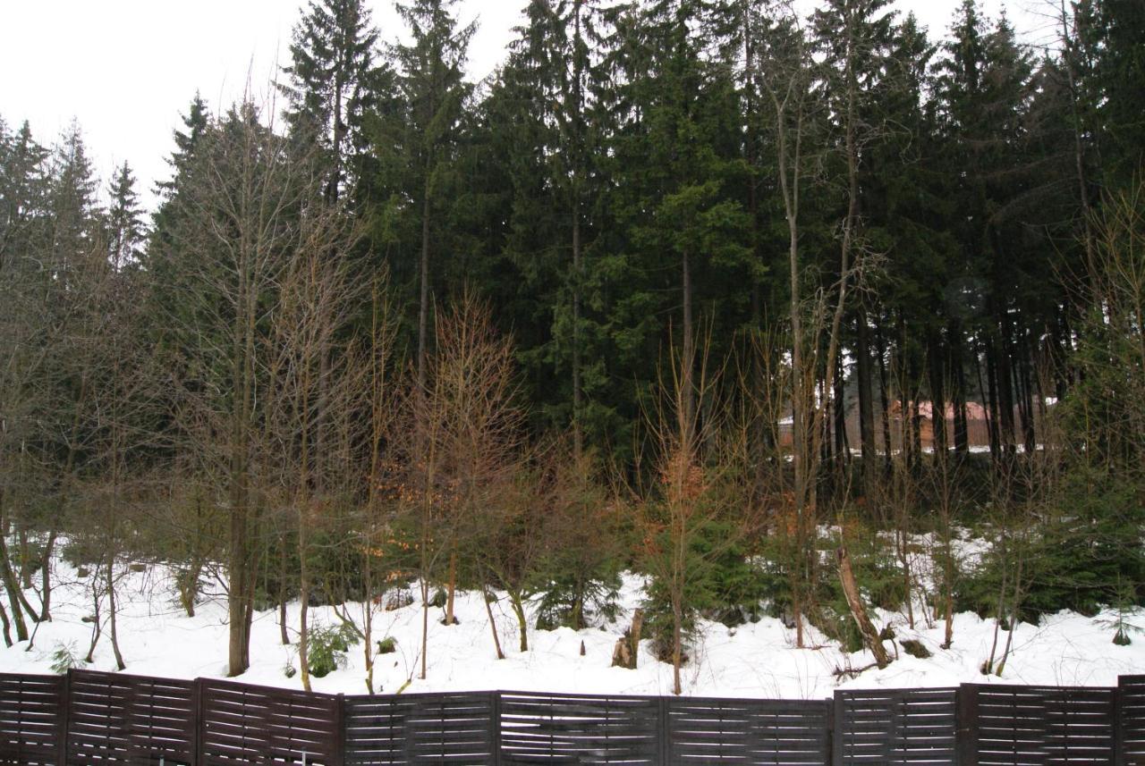 Fewo Adler 2-6 Personen Braunlage Ngoại thất bức ảnh